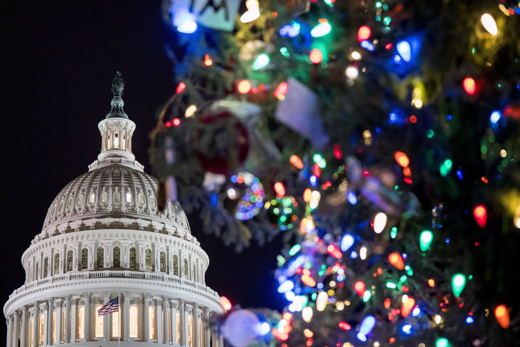 Capitol Christmas Tree Lighting